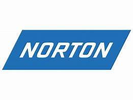 Image result for Norton Icon.png