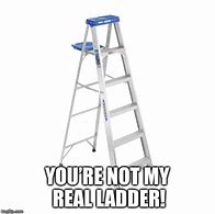 Image result for What You Doing Step Ladder Meme