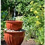 Image result for Solar Garden Water Features