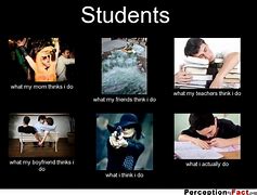 Image result for What My Friends Think I Do Meme Student