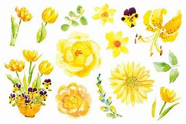 Image result for Yellow Aesthetic Flowers Cartoon