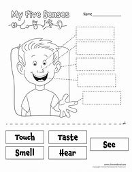Image result for Free Printable 5 Senses Worksheet