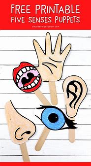 Image result for Five Senses Cartoon