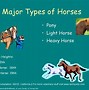 Image result for Black Clydesdale Horses