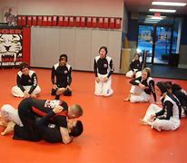 Image result for Mix Martial Art