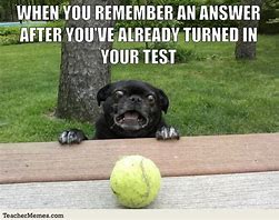 Image result for Memes About Tests