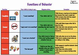 Image result for 4 Functions of Behavior