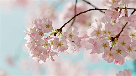 Image result for Levl Selection Model Code React Native