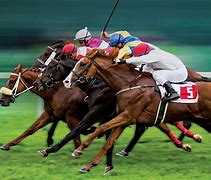 Image result for No Joy at the Horse Racing