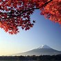 Image result for Fall Desktop Backgrounds Japan