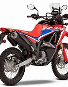 Image result for CRF 300 Rally