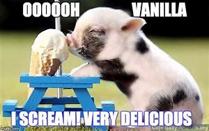 Image result for Meme Vanilla School Paste Icream