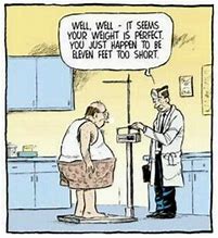 Image result for Funny Cartoons About Weight