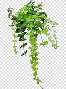 Image result for Aesthetic Pictures Green Clip Art