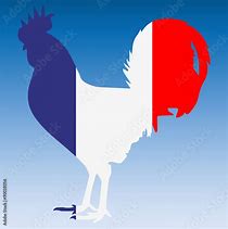 Image result for Symbole De La France Coq Dessin