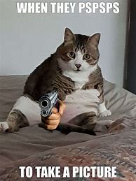 Image result for Cat with Gun Meme