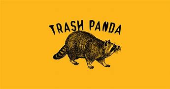 Image result for Trash Panda Funny
