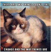 Image result for Best Grumpy Cat Memes of All Time