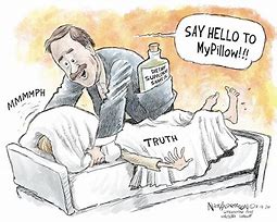 Image result for Mike Lindell Cartoons