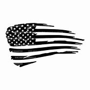 Image result for Freedom America Flag