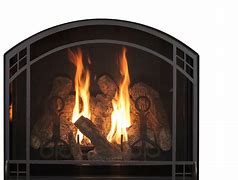 Image result for Gas Fireplace Chips