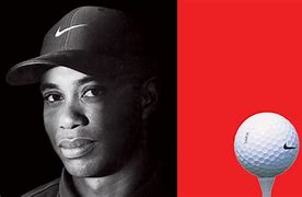 Image result for Tiger Woods Golf Ball