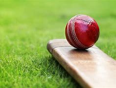 Image result for Cricket 3D Background