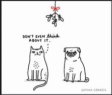 Image result for Christmas Cat Meme