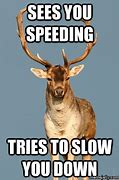 Image result for Dragging Deer Meme