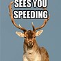 Image result for Man Deer Meme