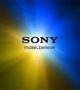 Image result for Bevia Sony TV Input Display