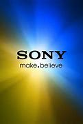 Image result for Sony Logo Pic