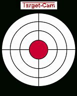Image result for Pistol Target Shooting
