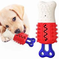 Image result for Canine Tarter Chew Toy