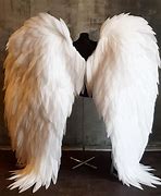 Image result for Angel Wings Costume Women