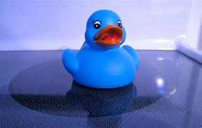 Image result for Rubber Ducky Meme Funny
