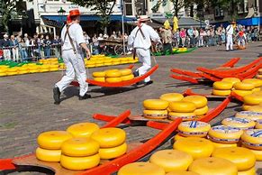 Image result for Netherlands Cheese Festival