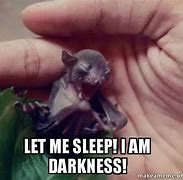 Image result for Person Sleeping Like a Bat