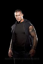 Image result for Randy Orton Biceps