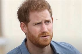 Image result for Prince Harry of England Ears