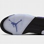 Image result for jordans v retro grapes