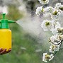 Image result for Spraying Apple Trees with Paraffin