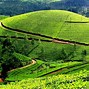 Image result for Famous Hills in the World