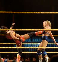 Image result for WWE NXT Guardrails