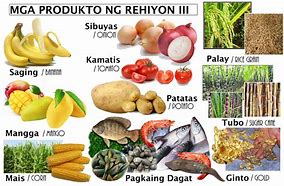 Image result for Local Products of Region 8