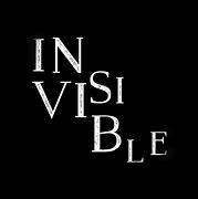 Image result for Invisible 0