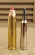 Image result for 450 Bushmaster Next to 223