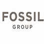 Image result for Fossils Band Logo