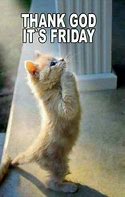 Image result for Thank God It's Friday Funny Pics