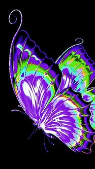 Image result for Zedge Wallpapers Butterfly